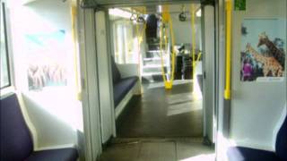 CityRail ex G Set Tangara intercarriage doors malfunction [upl. by Iolande468]