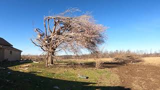 Campbellsville  Taylor County Kentucky 2021 Tornado Video 4K [upl. by Florida]