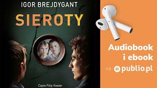 Sieroty Igor Brejdygant Audiobook PL Kryminał [upl. by Eignav]