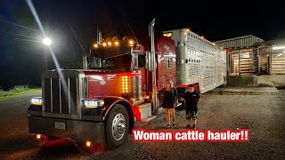 TOOK MY HUSBANDS 379 PETERBILT FOR A LOAD OF CATTLE [upl. by Annehcu]