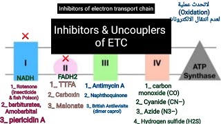 Inhibitors amp Uncouplers of electron transport chain and oxidative phosphorylation metabolism [upl. by Avictor]