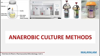 Bacterial Culture method Part 2 Anaerobic Culture Methods Anaerobiosis MALAYALAM [upl. by Anasor489]