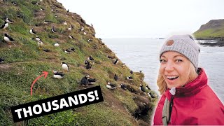 5 secrets to GROUP TRAVEL in Iceland [upl. by Ailedamla]