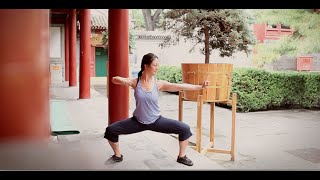 8 Brocades Qigong Practice [upl. by Elram324]