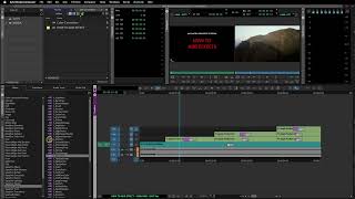 AVID MEDIA COMPOSER TUTORIALS HOW TO ADD EFFECTS [upl. by Kenay]