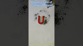 Magnetic field of UShaped Magnet [upl. by Terry477]