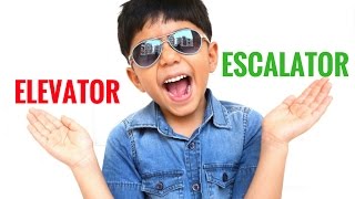 Elevator Vs Escalator Vs Travelator  English Vocabulary [upl. by Monreal]