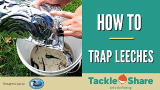 How To Trap Leeches For Fishing in Ontario [upl. by London]