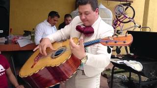 El Cascabel Mariachi Real de Oro [upl. by Alver181]