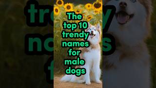 dog doglover dognames [upl. by Yukio]