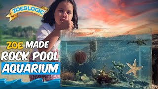 Make a Rock Pool Aquarium for Sea Creatures With Zoe [upl. by Arria]