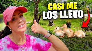 QUIERO Unos PATICOS YA 😅 Hoy Limpiamos el Bosque de la Finquita Bonita 😱 Sandra Cires Vlog [upl. by Mloc]