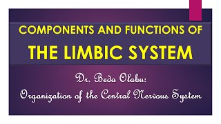 THE LIMBIC SYSTEM [upl. by Bradford388]