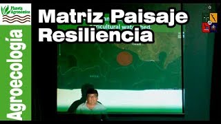 La importancia de la MATRIZ BIOLÓGICA 🌳🌱 del paisaje y la resiliencia [upl. by Reham719]