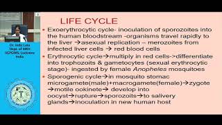 Malaria in pregnancy [upl. by Dupaix]