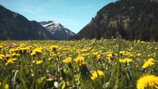 Frühjahrswandern im Tannheimer Tal [upl. by Cherida]