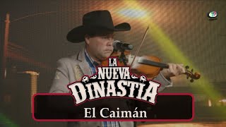 La Nueva Dinastía  El Caimán Video Oficial [upl. by Yvi412]