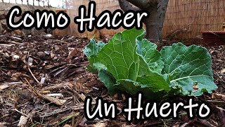 ¿Como Hacer un Huerto desde Cero Explicado Paso a Paso [upl. by Roth]