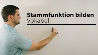 Stammfunktion bilden Vokabeln Aufleiten Integralrechnung  Mathe by Daniel Jung [upl. by Germann]