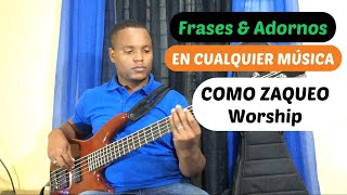 COMO ZAQUEO ADORNOS amp FRASES QUE PUDES APLICAR EN CUALQUIER MÚSICA  intermedio amp básico [upl. by Ellenij938]