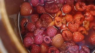 How to make Rumtopf Uk 5 litre preserved fruit in rum part 2 the middle [upl. by Aneeroc]