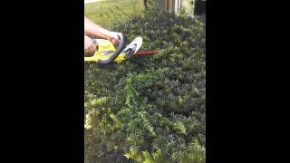 Ryobi cordless hedge trimmer 18v [upl. by Airdnaxila]