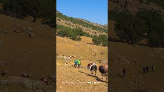 Hiking in the Zagros Mountains  پیاده روی در کوه های زاگرس [upl. by Benny]