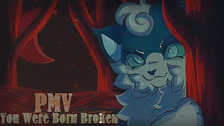 You Were Born Broken  Warrior cat OC PMV [upl. by Denn448]