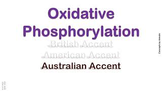 Oxidative Phosphorylation How to Pronounce Oxidative Phosphorylation in American Accent [upl. by Anek]