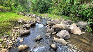 Beat Fatigue With Calming River Sounds For Instant Sleep  Peaceful Water Stream For Relaxation [upl. by O'Reilly]