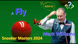 Mark Williams FIGHT a FLY for 3 Rounds quotAli Carters allyquot in Snooker Masters 2024 Funniest Moment [upl. by Atonsah358]