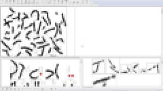 MetaClass Karyotyping [upl. by Riha]