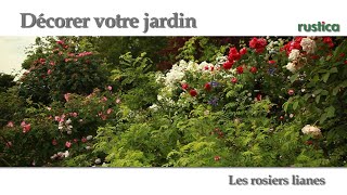 Utilisations des rosiers lianes au jardin [upl. by Aniretak983]