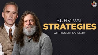 Of Baboons and Men  Robert Sapolsky  EP 390 [upl. by Merta]