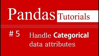 Pandas Tutorials  5  How to handle Categorical data attributes in Pandas [upl. by Yelnoc]