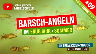 Barsch Angeln im Frühjahr  Sommer 🎣 Staffel 2 Folge 9 [upl. by Florence]