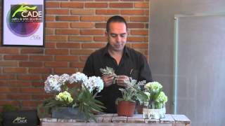 Cómo hacer 2 arreglos florales con hortensia para esta primavera  DIY hydrangea arrangement [upl. by Niriam]