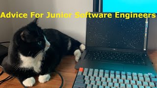 Advice For Junior Software Engineers [upl. by Ronym]