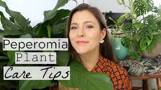 Peperomia Plant Care Tips amp Tricks  Peperomia Houseplant Care [upl. by Tarah863]