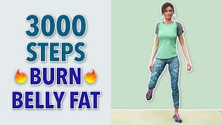 3000 Steps At Home  Belly Fat Walking Workout [upl. by Branscum]