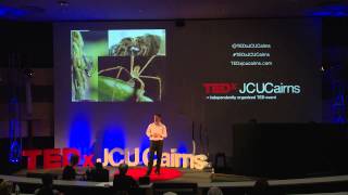 Turning spider toxins into tonics  David Wilson  TEDxJCUCairns [upl. by Barncard]