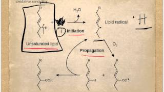 F7 Oxidative Rancidity [upl. by Vittoria]