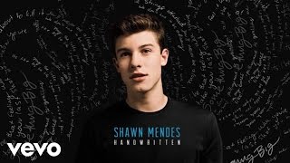 Shawn Mendes  Aftertaste Audio [upl. by Ihp]