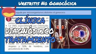 ⚕️🩺 Uretritis POSTGONOCÓCICA y Uretritis NO GONOCÓCICA Síntomas Diagnóstico y Tratamiento [upl. by Noterb410]