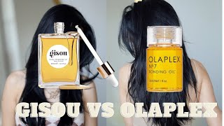 GISOU VS OLAPLEX NO 7 BONDING HAIR OIL [upl. by Innavoeg]