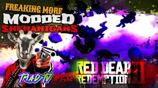 Modded Shenanigans  Testing Nexus Mods  Red Dead Redemption 2 PC [upl. by Mehitable]