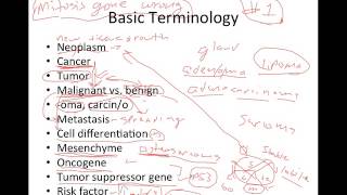 Introduction to Cancer [upl. by Iralav]