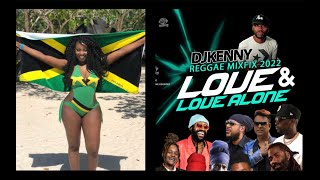 DJ Kenny Reggae mixtape feat Sizzla Busy Signal Ginjah Richie Spice Jah Cure Anthony B [upl. by Fates]