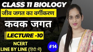 Kingdom Fungi Class 11  कवक जगत  Kingdom Fungi Classification  lec1014ncert pallavikanwar [upl. by Zullo915]