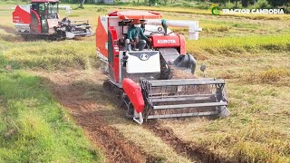 Combine Harvester Kubota DC93 Harvesting Rice  Greet Work Safety Operator  Agricultural Machinery [upl. by Tomasz]